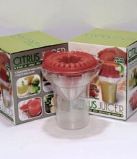 Mini Juicer